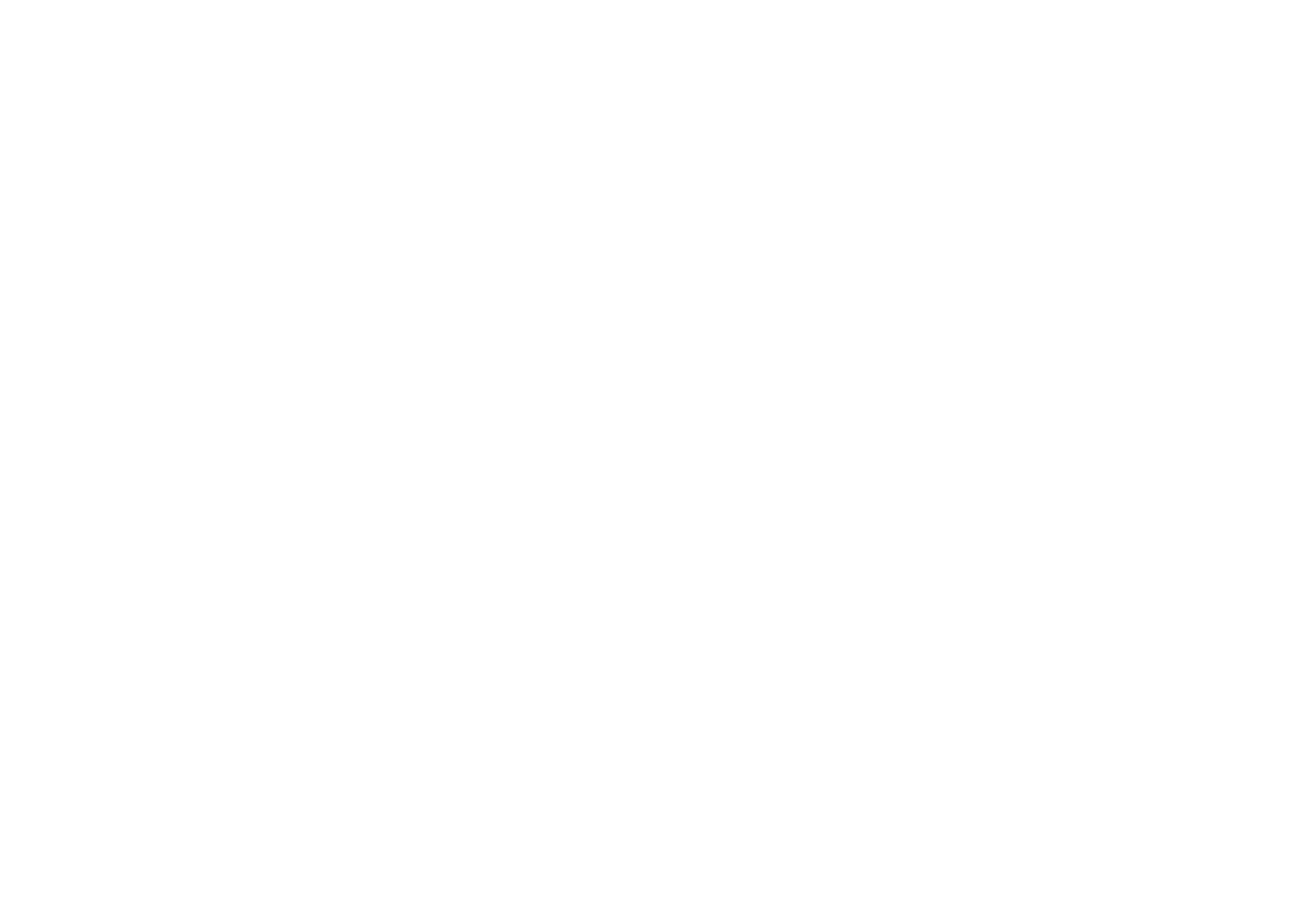 WiseGuy logo